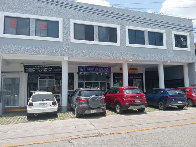 Foto de la galeria de imagenes