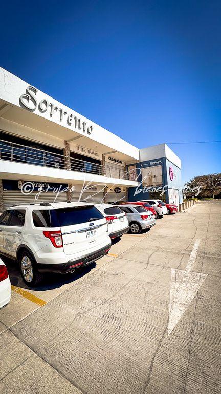 Foto de la galeria de imagenes