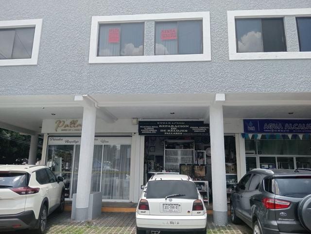 Foto de la galeria de imagenes